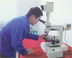 金相检测